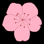 WWW,572av·COM网站APP